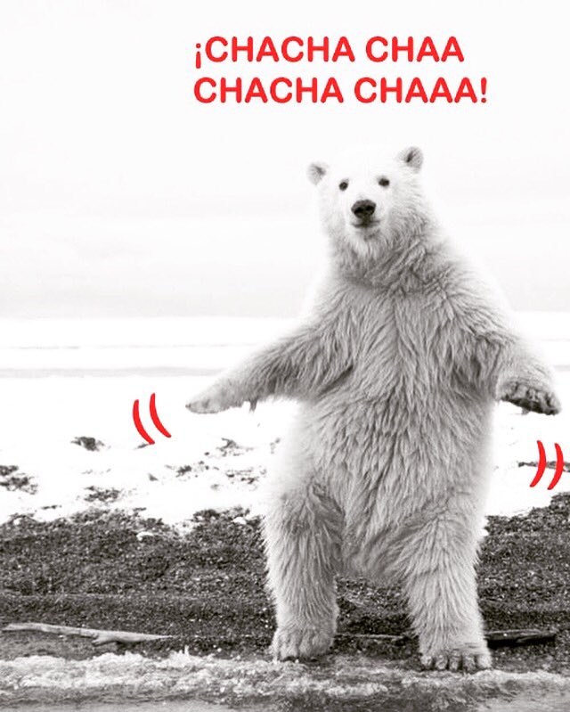 AllStepsEB's tweet photo. #BuenosDiasATodos 🎶 A bailar que ya es viernes! #allstepseb #twitter https://t.co/ZeRJS56KqE