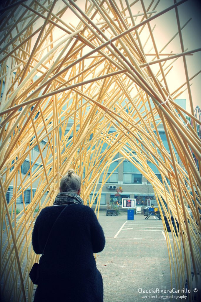 Sectie-C tweet media