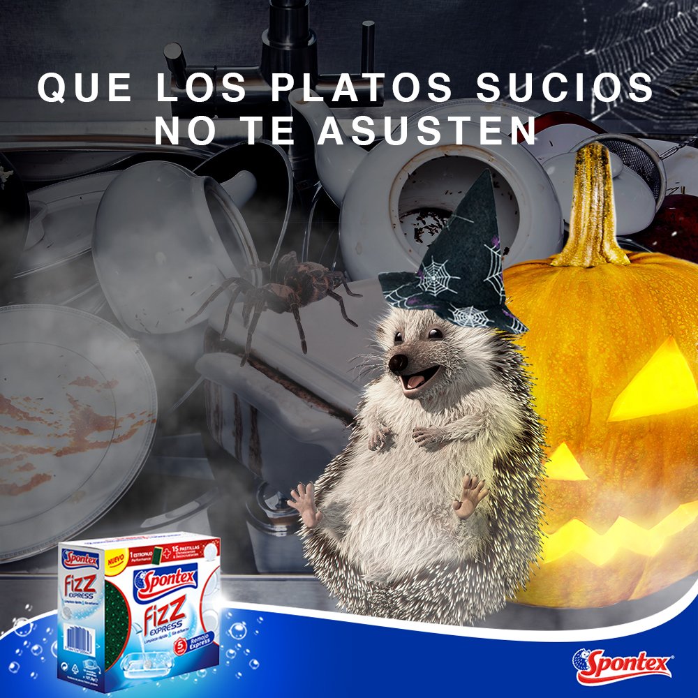 Spontex España tweet media