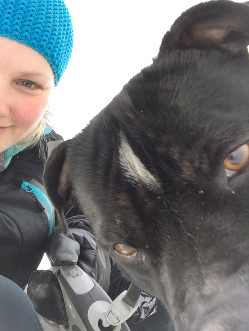 TvillingeneB's tweet image. Let's take a selfie
#dogs #dogslife #dogsarefamily