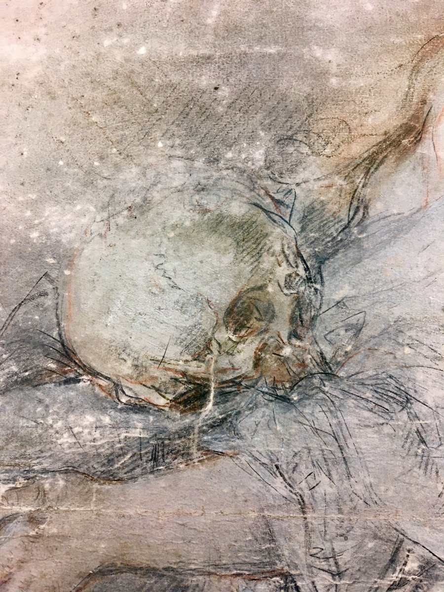 emeline_bdn's tweet image. #uneoeuvre #undétail - Barocci 16e s #vanité