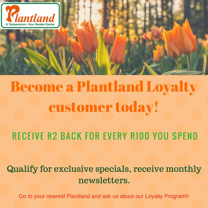 Plantland's tweet photo. Become a Plantland Loyalty Customer and share in the benefits... #welovegardening https://t.co/tlBmwuE304