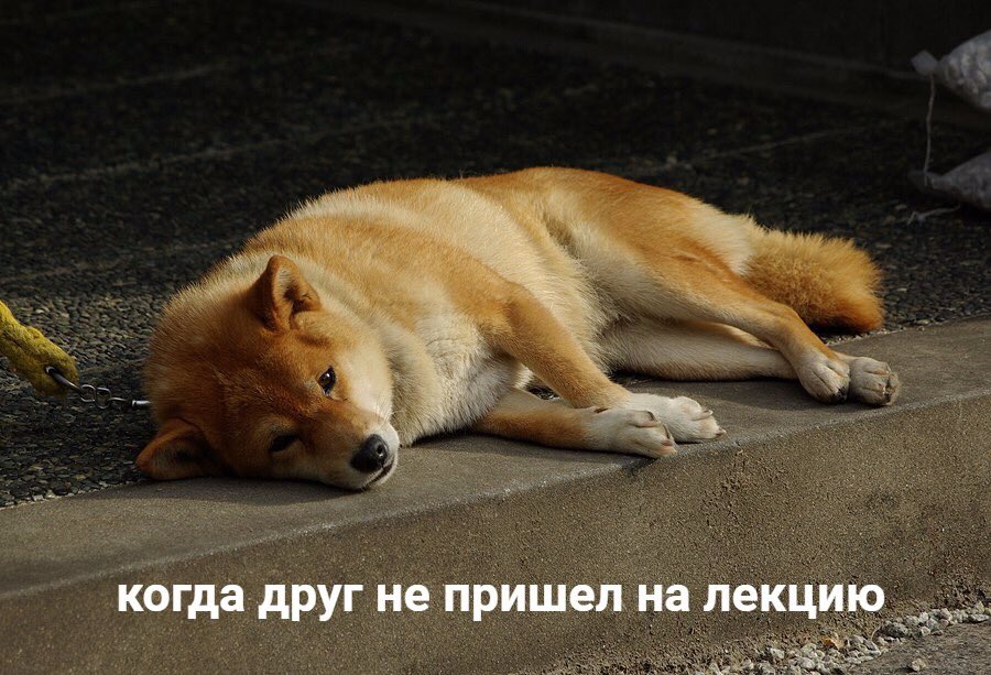ifweress's tweet photo. https://t.co/NuiThjNZPf