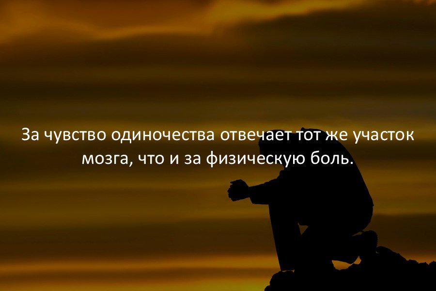 Питерский Илья (@piter98pit) on Twitter photo 