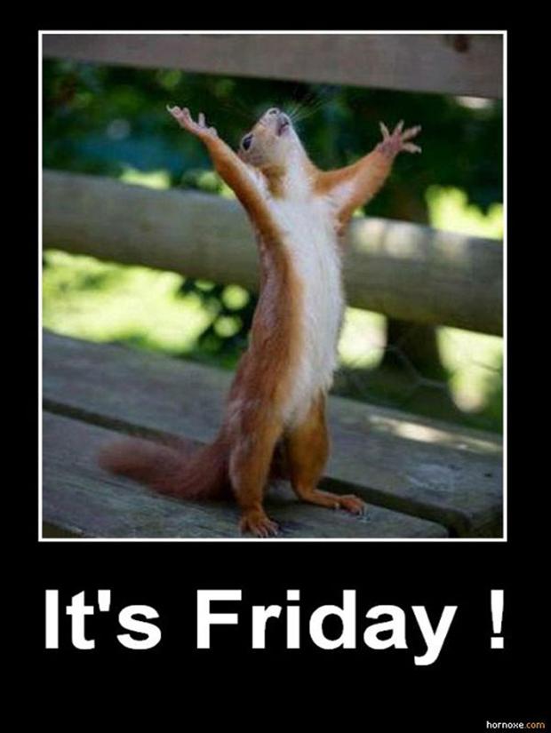 LEDsite_'s tweet photo. #FridayFeeling #ledsite https://t.co/MQosz4FisV