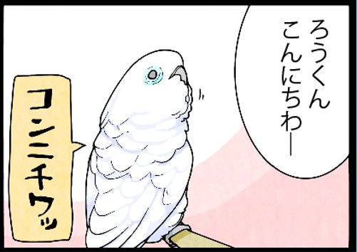 オウム4コマ更新しました！
4コマ記事から引用Tweetすると画像がマスコットで表示される様になったようです。紛らわしいので暫く引用Tweetは控えます。
（画像クリックしても記事に飛びません）
URLから4コマ記事へどうぞ… 