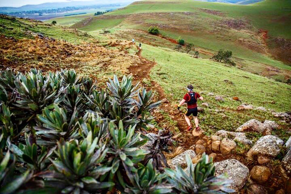 The Llama Bar crew is @glencairntrailrun bound with a big box of goodness! Get ready to #LetYourLlamaLoose! 📷 @KevinSawyer