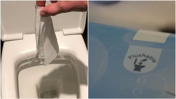 LitterTeam's tweet photo. When is Flushable not Flushable? When it's a wet wipe!
https://t.co/0FTcQZdhkT https://t.co/oIEIDOrrB5