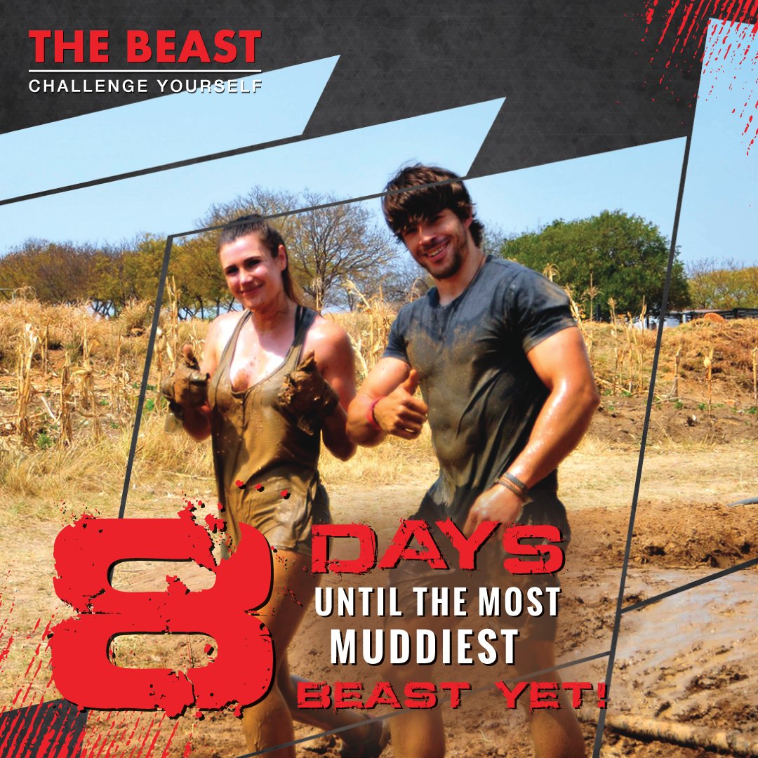 The Beast tweet media