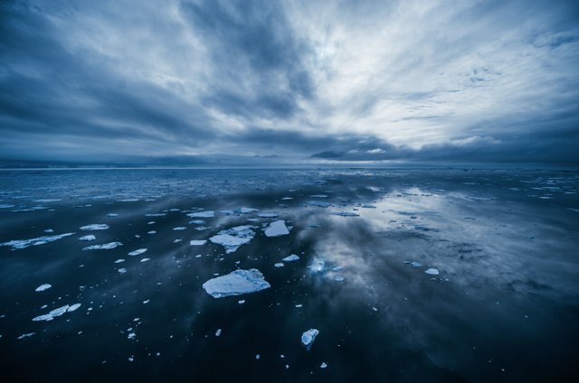 richardbranson's tweet photo. World's largest marine protected area declared in Antarctica https://t.co/UMM6iZJ8eW #RossSea @oceanunite https://t.co/dNL58qqI93