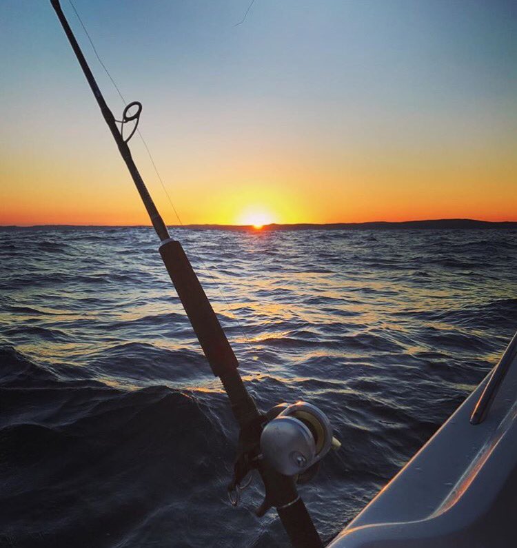 Coastoria's tweet photo. #coastoria 🐟🎣🌄 https://t.co/62utP8t7YK