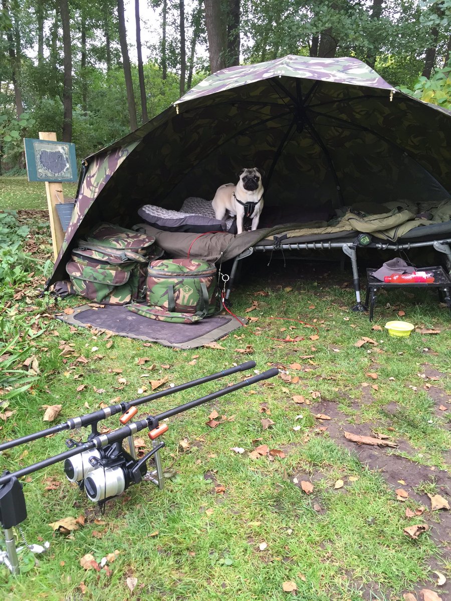 My first night fishing trip #pugthecarpdog