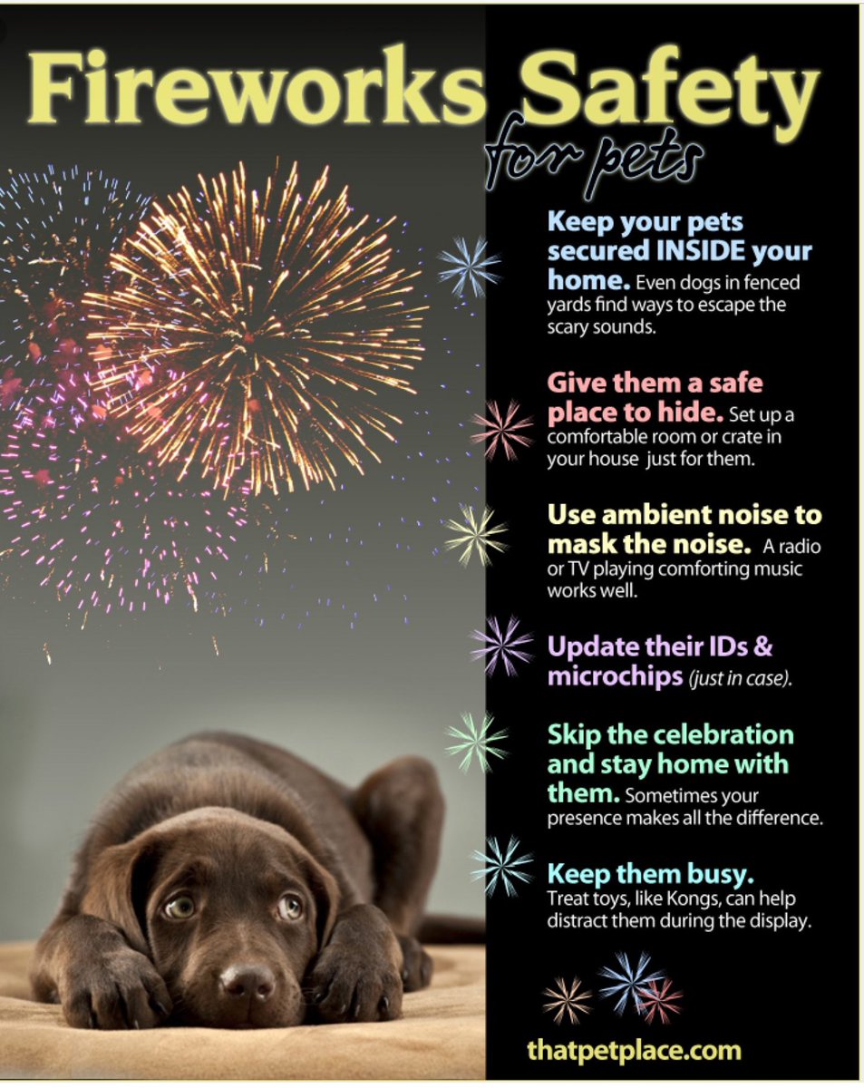 Please could you remind pet owners to take care on November 5th and ensure they are safe by follow these recommended tips.