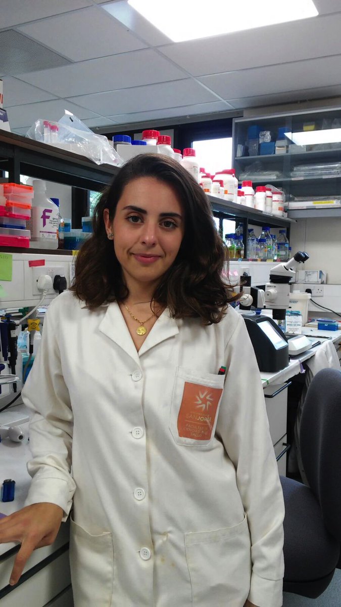 La doctoranda Inés Reigada en estancia de investigación en <a href="/durham_uni/">Durham University</a> como integrante del GI Principios Veg Activos