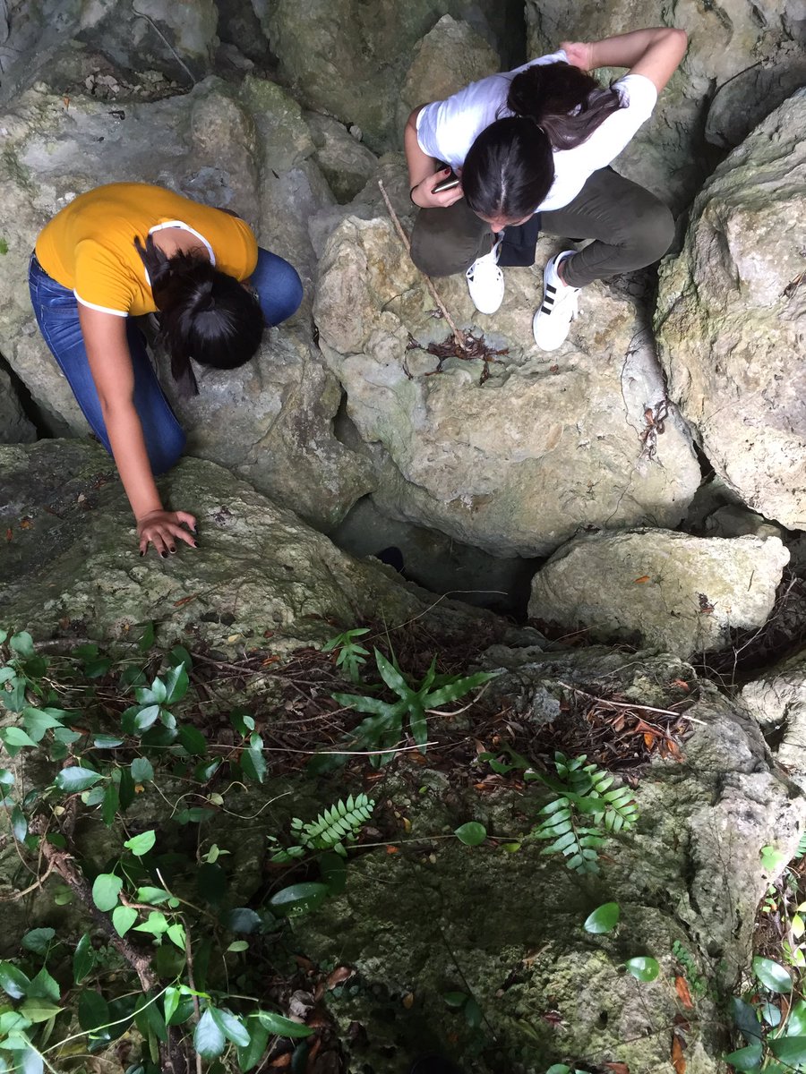 indurgoo's tweet photo. Adventuring w/ them is so stress relieving☀️ https://t.co/eO5nsxFEuT
