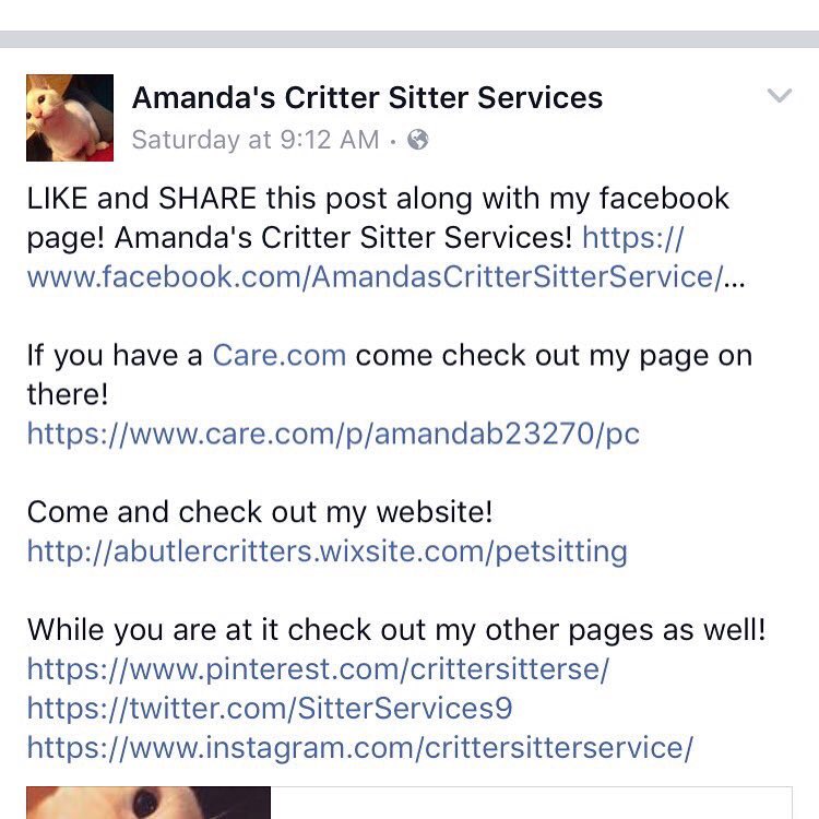 SitterServices9's tweet photo. Attention: here is info on my pet sitting services! If there's any questions please ask! #petsitter #animallover #BusinessSuccess #newgame https://t.co/emiOeEoruI
