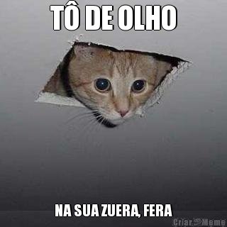 6_Narks_6's tweet photo. :3 Viih vai ser caçada !!  #teamgato https://t.co/tRNlYj7XlI