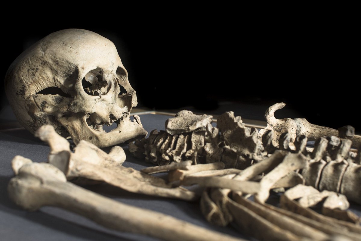 This Halloween - head to <a href="/Dubliniaviking/">Dublinia</a> and learn all about the creepy cures &amp; ridiculous remedies of Medieval life bit.ly/2aabuQ0