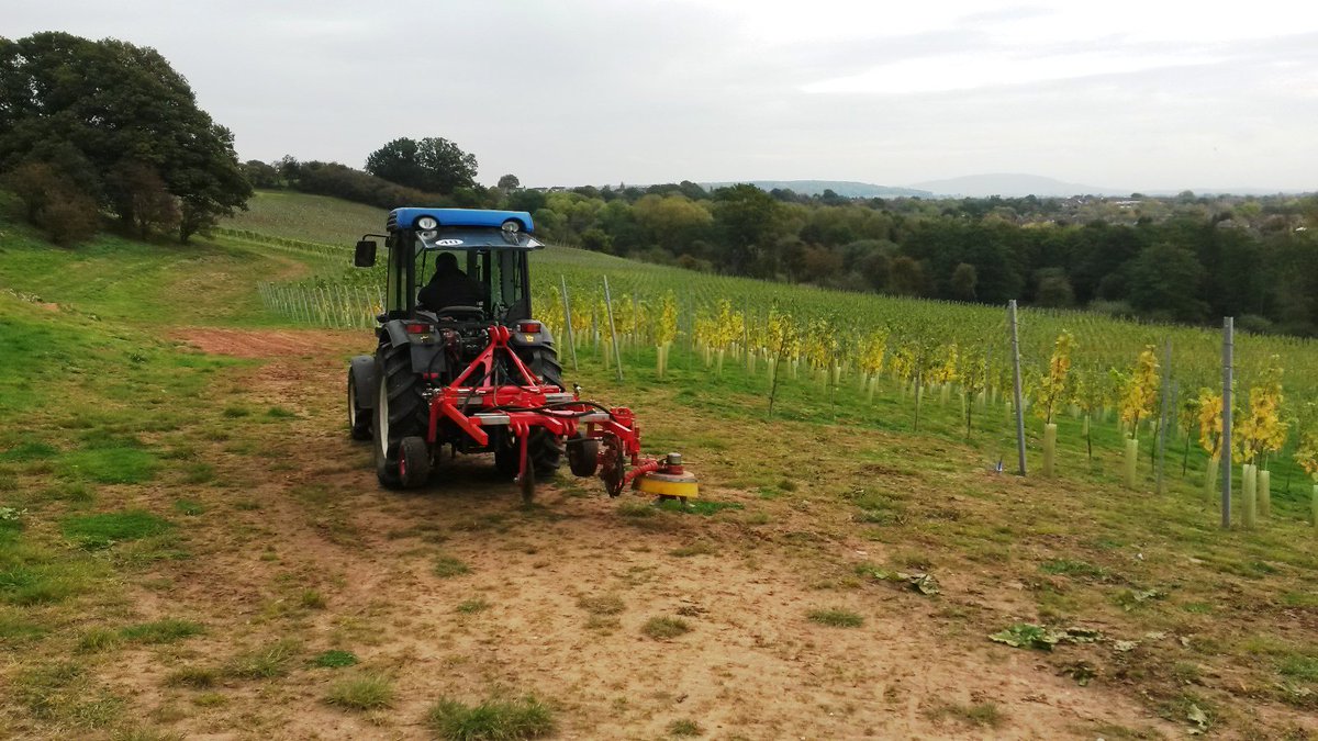 Vitifruit's tweet photo. Boisselet demonstration in Shropshire by Vitifruit Equipment https://t.co/1nqvXJjAWE