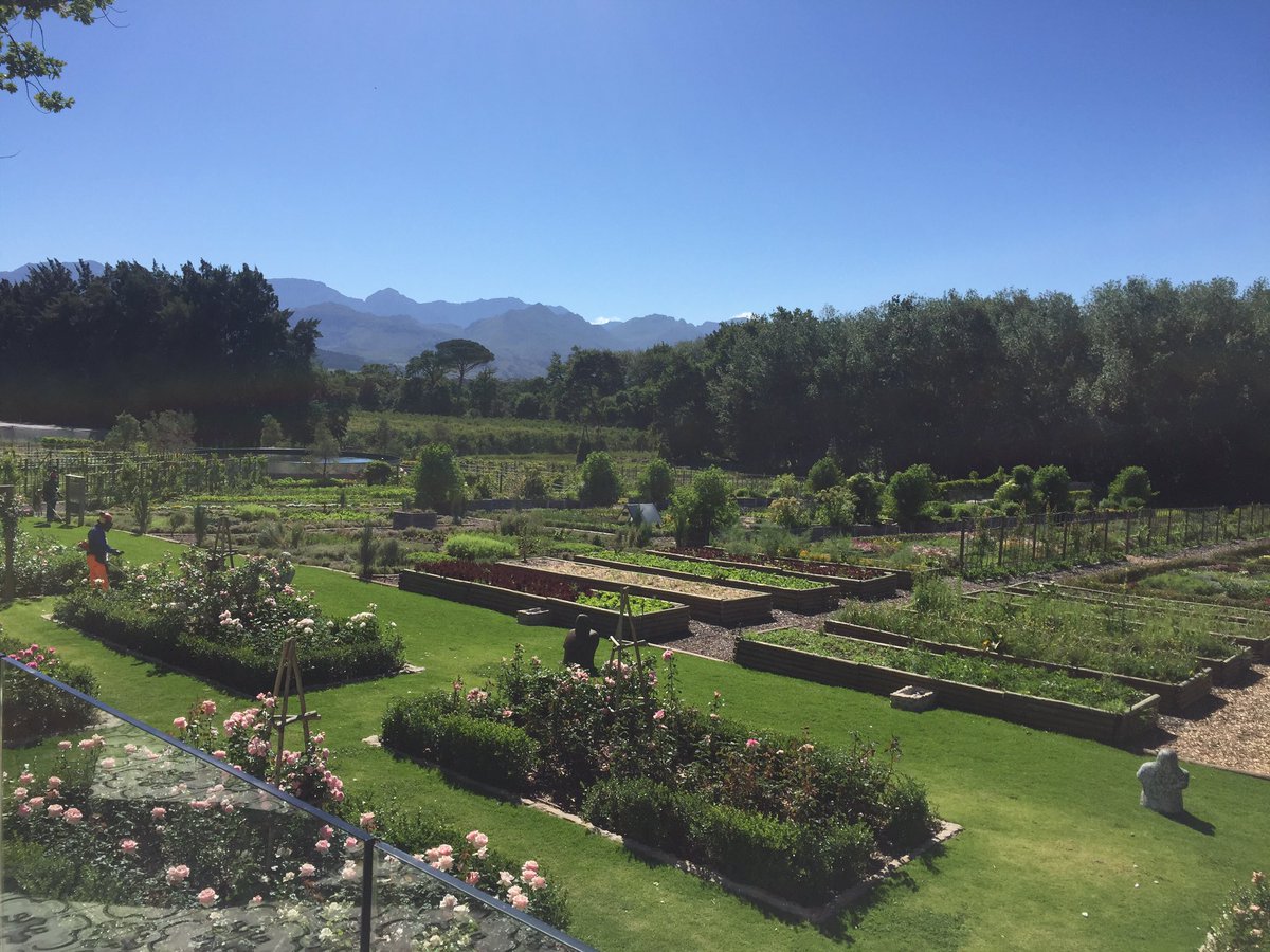 brandhivesa's tweet photo. We're on set in CT at @boschendalfarm with @Natmedmagazine @thecaptureguru &amp; @PixelFoundrySA - we love our job https://t.co/dpIoCtZ0t3