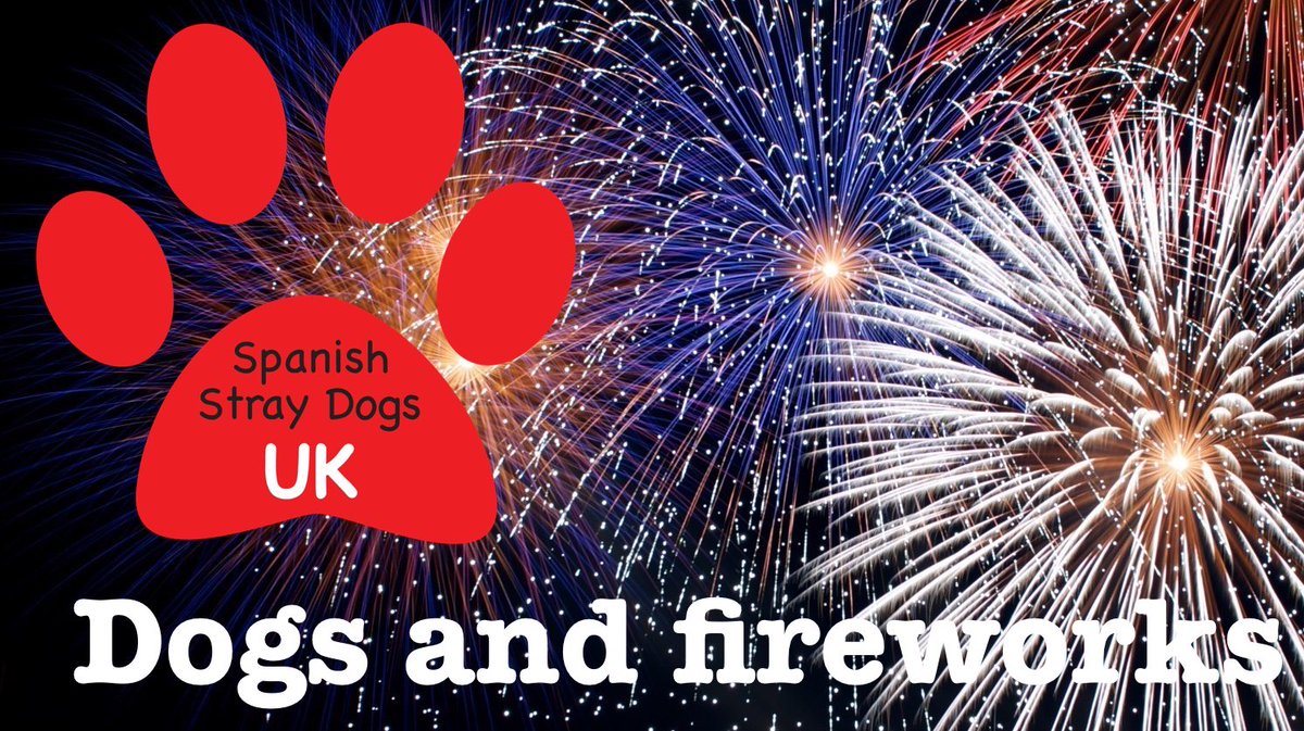SSDogsUK's tweet photo. #Dogs and #Fireworks: Avoid the nightmare with 10 simple tips https://t.co/pfYSWSK5ne #BonfireNight #GuyFawkes #Diwali @spanishstray https://t.co/bfUvV3X82Z