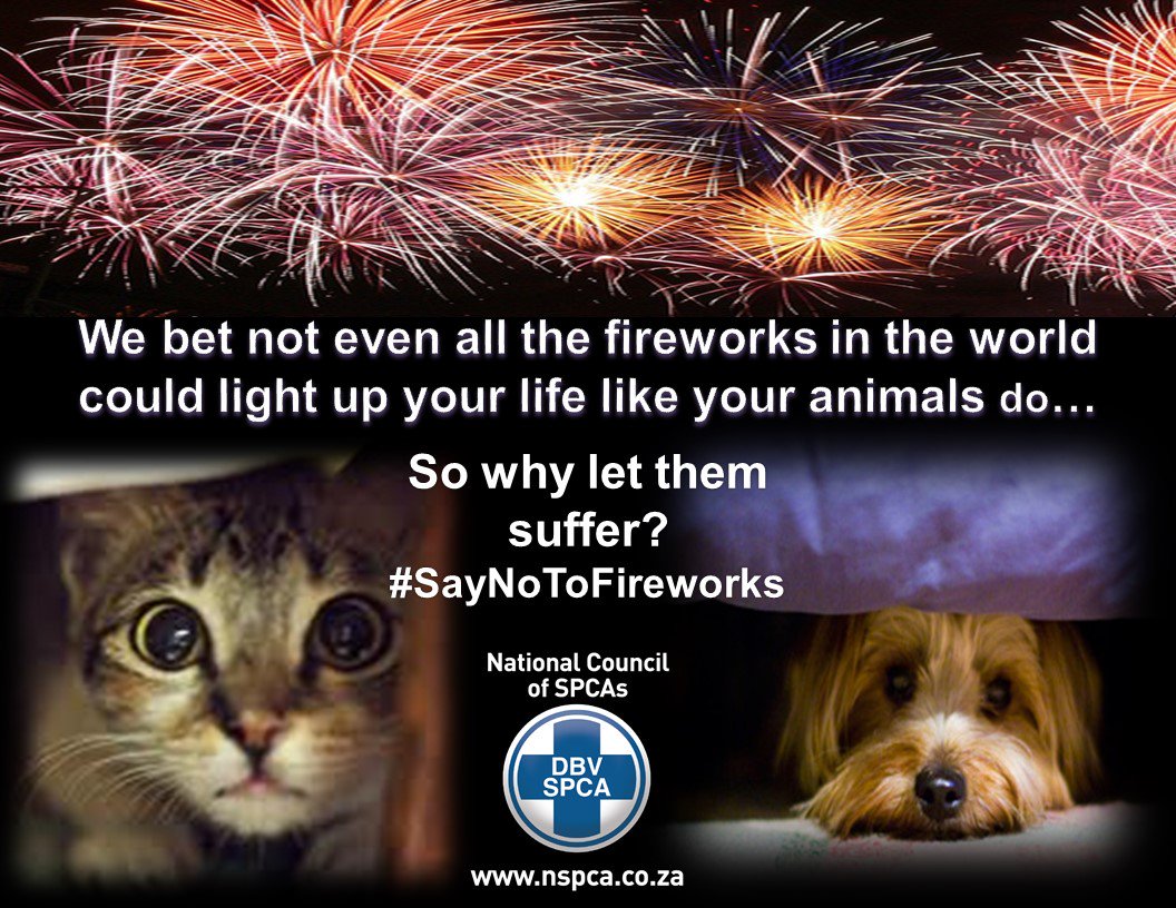 NSPCA_SA tweet picture