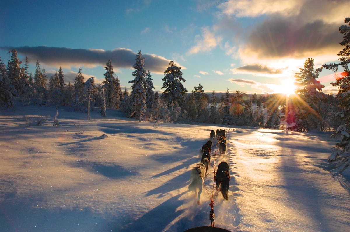 WildNorwayAdv's tweet photo. If we can commute this way, every morning would be so exciting, wouldn't it? #WinterMoreFun https://t.co/qVCqxBiYQe