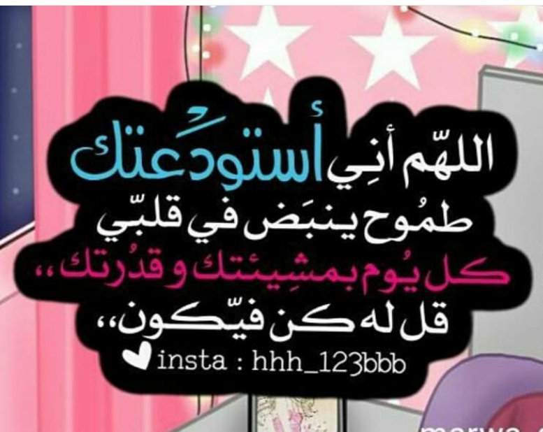 roha__q tweet picture