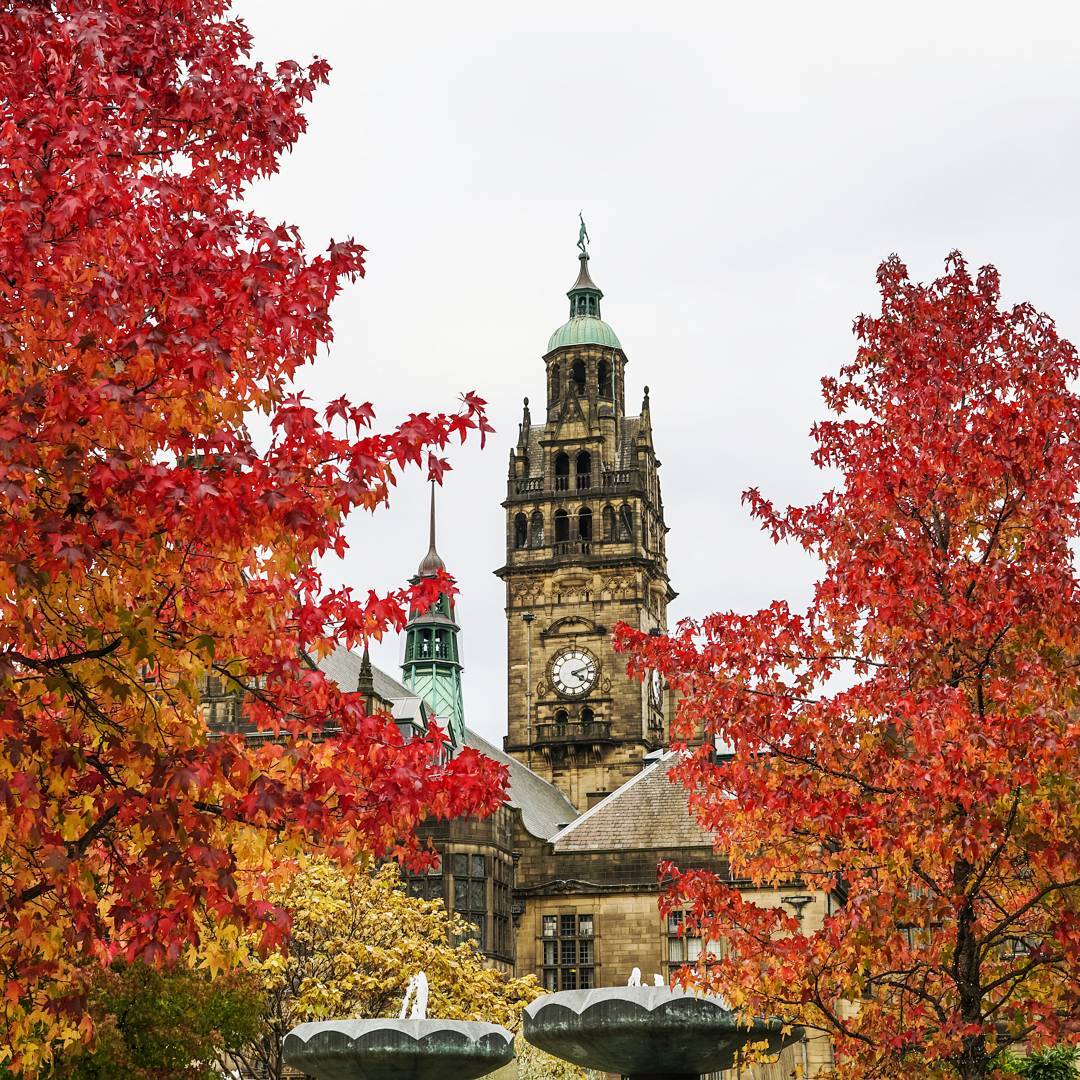 SheffieldAlumni's tweet photo. Sheffield has been looking pretty great in the autumn colours. 4 great pics from the @sheffielduni Instagram account https://t.co/MK2M2ul5qO https://t.co/sKFii1sARP