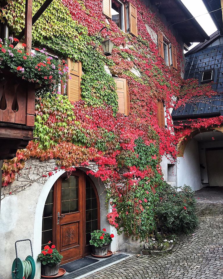 visitfiemme's tweet photo. Qui anche le mura respirano... #Fiemme è #casa #Trentino @greenstyleit @HoyVerde @ecotu_it @ecosostenibile @Ecoturismonlin2 @greenMe_it https://t.co/tg66c5iEyq