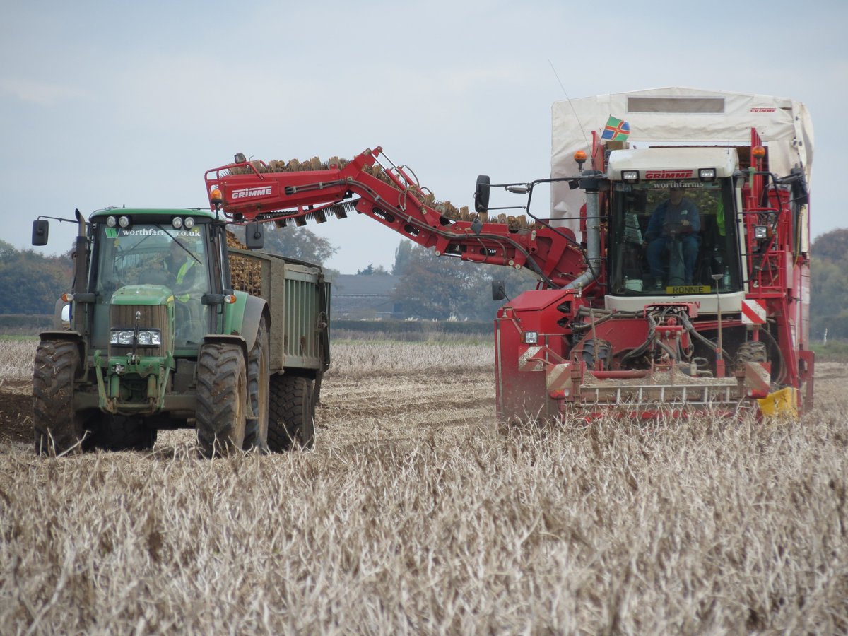 QVFoods's tweet photo. @Worth_Farms @haverholme1 @simonjeday Nice to see the last field of Lincolnshire Nectar spuds being harvested today! https://t.co/ecshcIwOJS