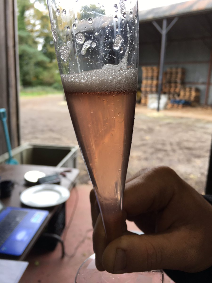 DanielHamWine's tweet photo. Stunning Chardonnay and Pinot noir co-press. Clean as a whistle.  #whoneedsacoquard? @LanghamWinery @TomJayne01 https://t.co/j5xgXvZ7Bh