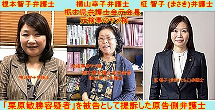 もうやめて でお馴染みの横山弁護士 霊長類へのボケ 85240645 ボケて Bokete