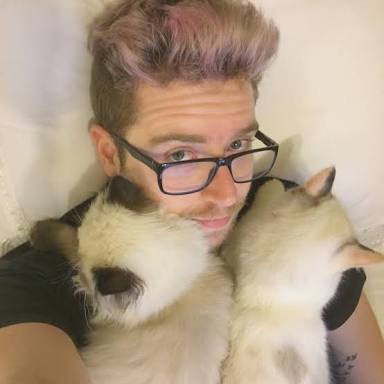 cactovato's tweet photo. oi viih tube hoje voce vai aprender com o @lubatv como tratar um gato https://t.co/pdW056lSoD