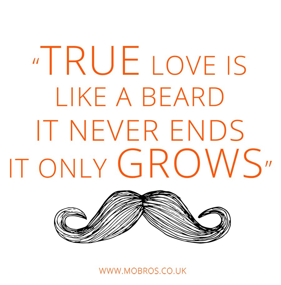 Mo Bros Grooming Co tweet media