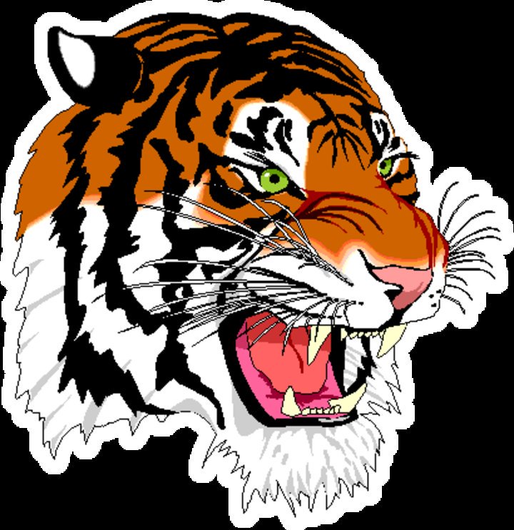 JohnMProos's tweet photo. The #BentonHarbor Tiger will host the #SouthChristian Sailors tonight at 7 PM. #HighSchool #Football #Playoffs https://t.co/d8R7UPaHgW