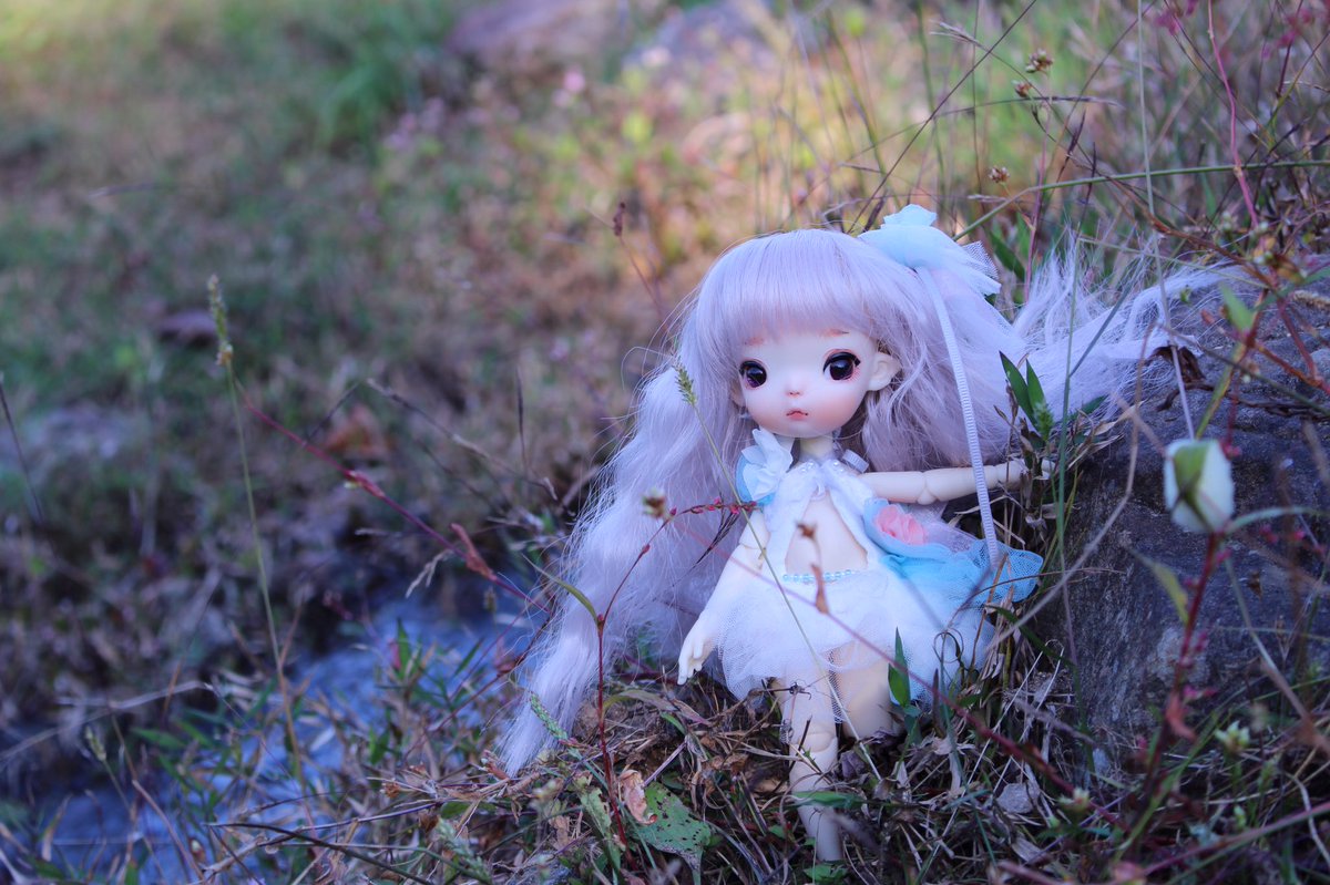 elfdoll_jp's tweet photo. 泥より出でて、泥に染まらず#elfishbaby #dongxusun #elf #bid #doll #handmade #ドール #球体関節人形 https://t.co/soL1Bw9Qsb