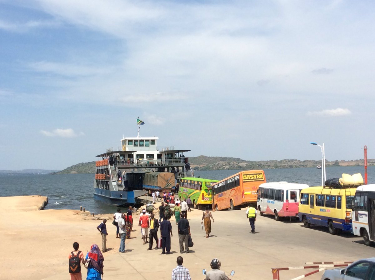EntomoloJo's tweet photo. Now to take them back to the lab and find out what species they are. Hope they don't get sea sick on the ferry ride. https://t.co/V3Nrgz9J6l