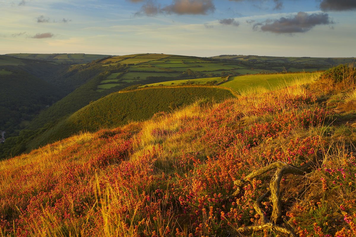 CountryfileMag's tweet photo. From bracing hikes over windswept moorlands woodland walks, walk through a dramatic landscape of autumn colours: https://t.co/0yWrptu77I https://t.co/2V7VNIkMYK