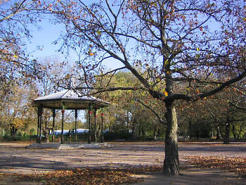 JacksonsSW's tweet image. Why not enjoy an autumnal walk this weekend in South London's beautiful parks? @batterseapark @ClaphamCommon1 bit.ly/2eMfe8h