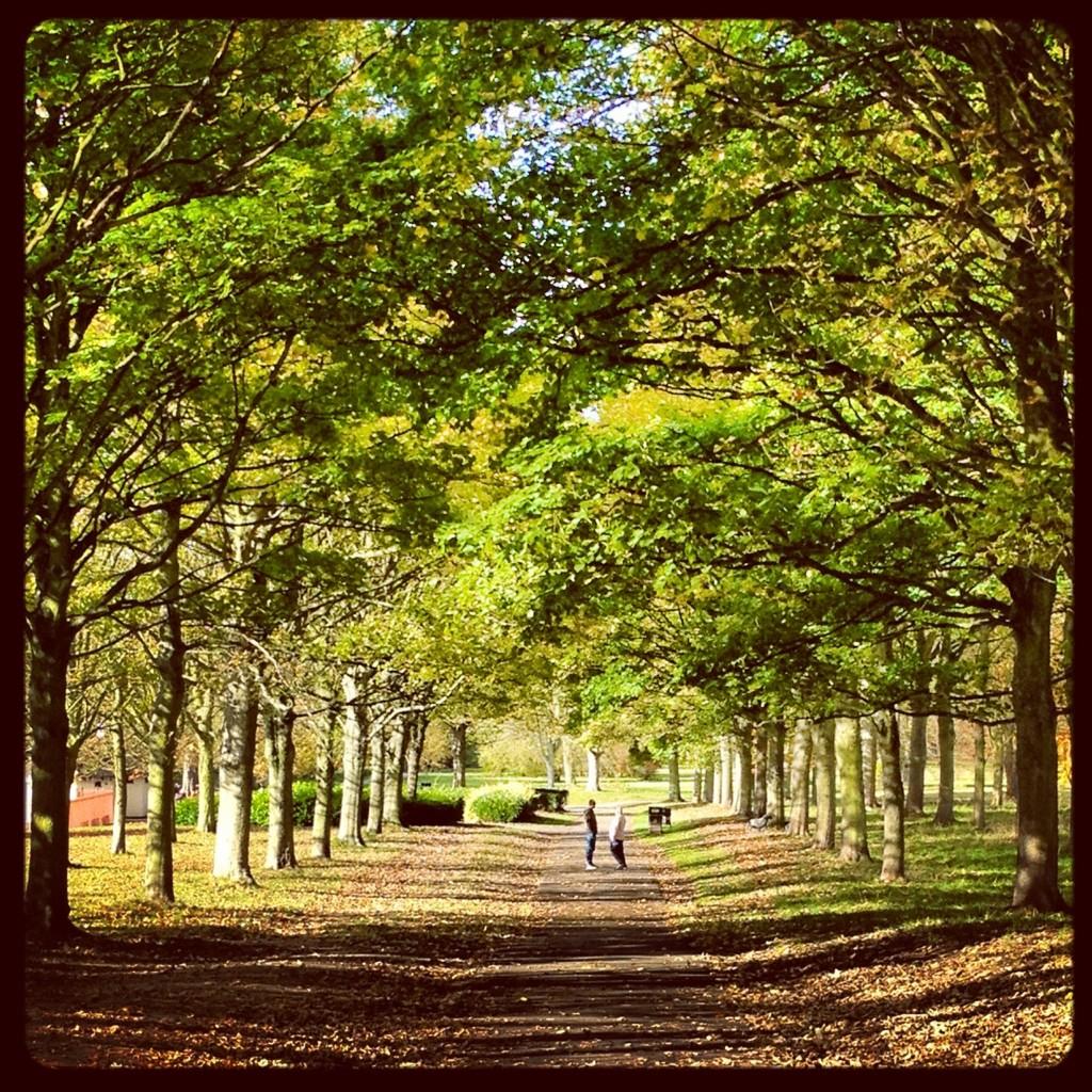 VIBE1076's tweet photo. Cassiobury Park looking beautiful as ever in the autumn. Perfect location for a summer festival? @Watfestuk #Watfest #Hertfordshire https://t.co/fFLVpa3w78