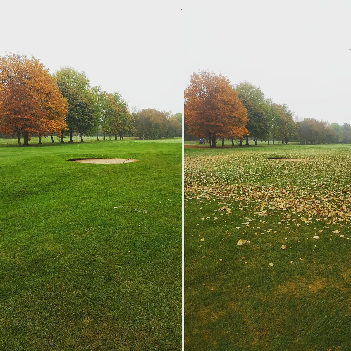 West_Derby1896's tweet photo. Blowing has been relentless this week... although we know the areas will be the same tommorow but have to keep on top of them #leafprobs https://t.co/dgKtGE0xdb