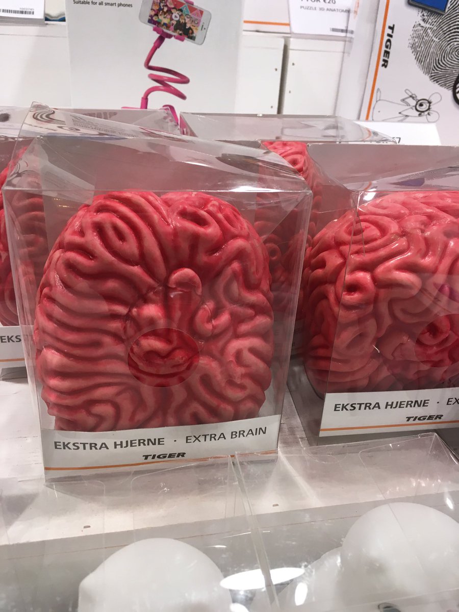 LoMcNamee's tweet image. @braindonation Brains for da boys!! #Tiger