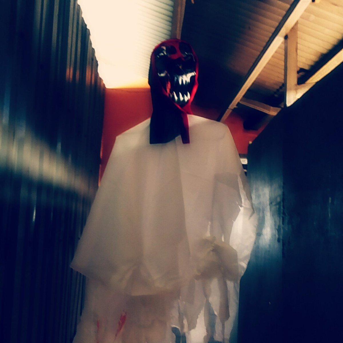 wheuneedtobe's tweet photo. They are comin out, a few hours to go @GlaciersBarKLA #HalloweenKLA2 @smull_EL @DeejayTumz @TheRealLumpen @rudende @missdeedan @MushroomInc https://t.co/cwl4Vm3erD