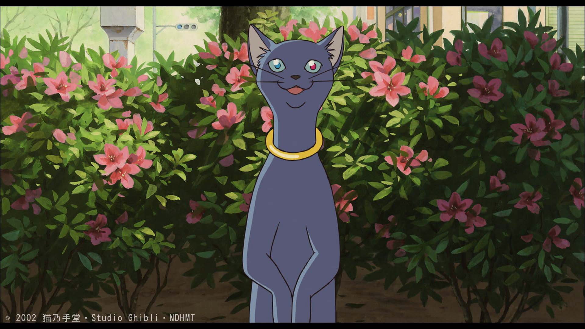 割済み。紅の豚と、猫の恩返しと、耳をすませばと、借りぐらしのアリエッティ❤️ジブリ この中だとニーヤが割と野生的な性格に対して、ムーンが一番