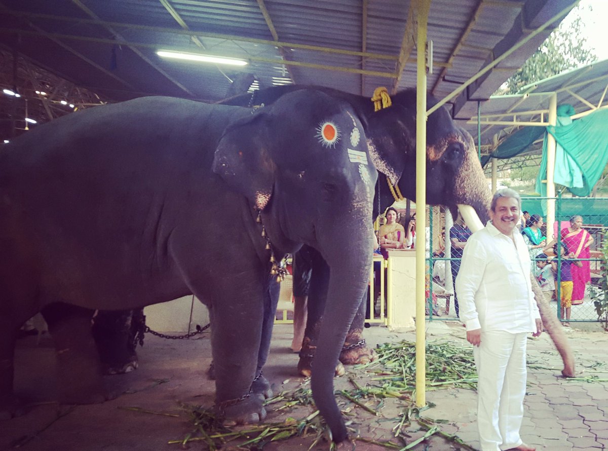 sahiljagtiani's tweet photo. Happy Birthday @vinewz. #LionAmongstElephants #KnowledgeParty https://t.co/wSoizdzWLU
