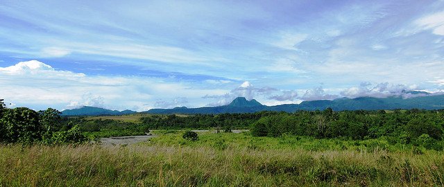 EarthwormGlobal's tweet photo. Find out more about @Nestle's  Responsible Sourcing Guidelines at our Transparency Hub https://t.co/V6VxCOvYTq #palmoil #TFTimpact https://t.co/rNGoW2gRhY