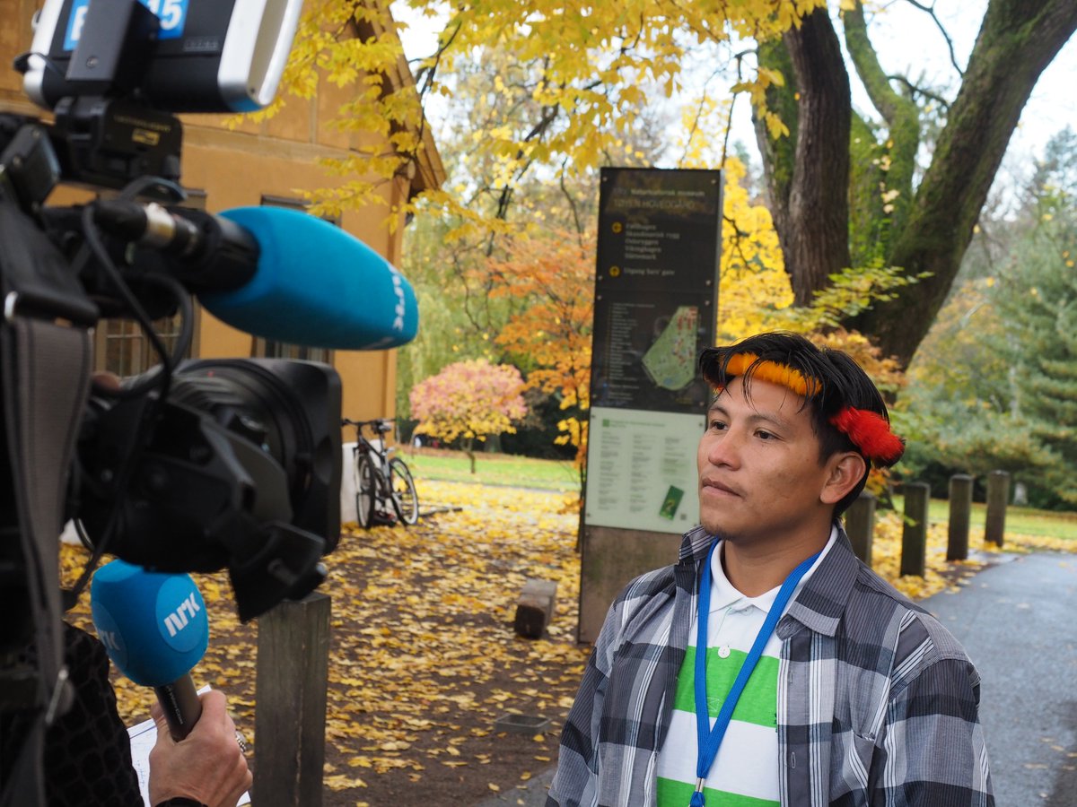 Climateforest tweet picture