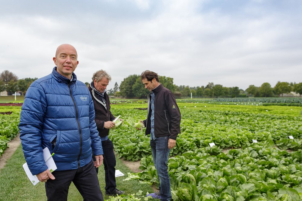 RijkZwaan's tweet photo. ‘Robust spinach all summer long’ Read the story of Jogchem #demofield #Fijnaart #partnership https://t.co/RRzW3S9dVw https://t.co/7mYZ5OgpCM