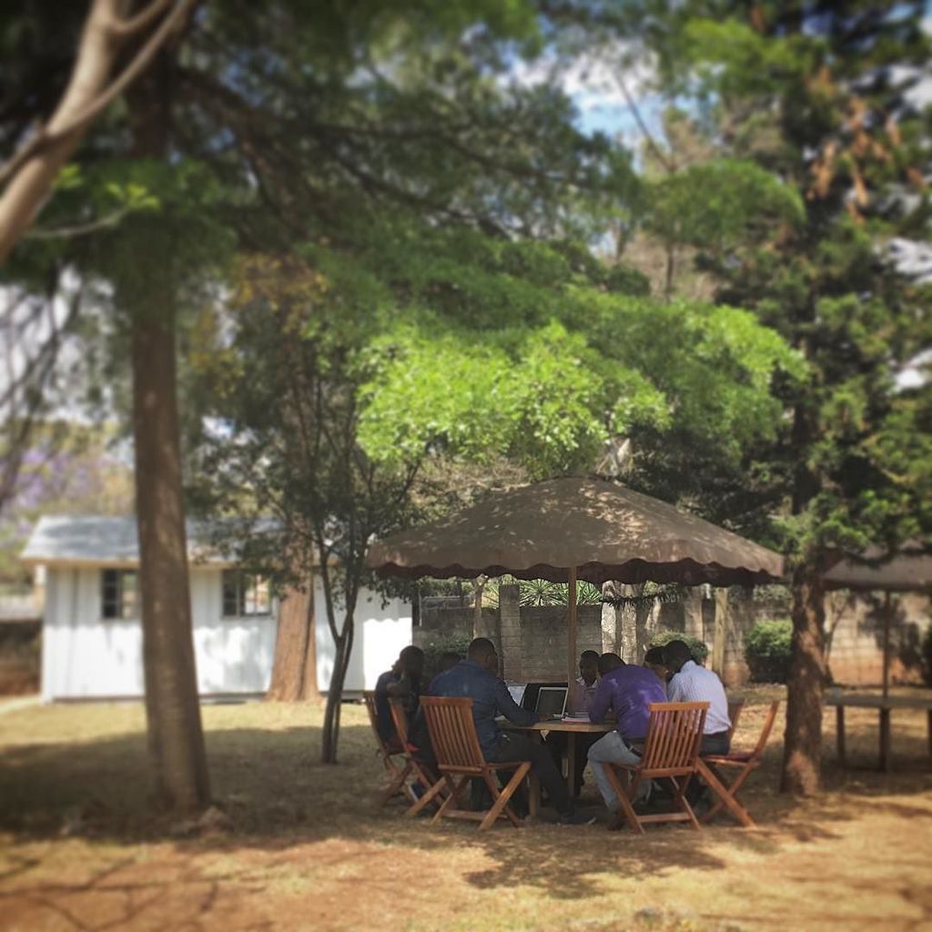 hiroko_anduamet's tweet photo. Meeting under tree #jewelry #handmade #kenya #africa #fairtrade #ethical #aterier #selecte… https://t.co/mHSKzT0e7t https://t.co/SEdPPNgdsN